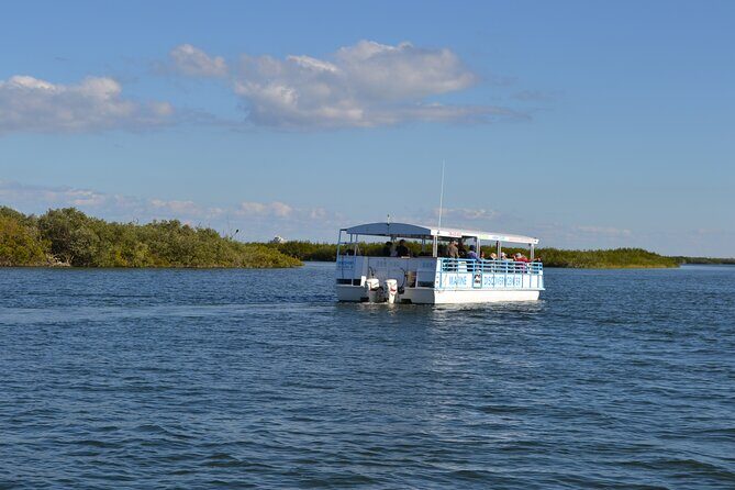 Discovery Dolphin Boat Tour - Who Should Consider This Tour?