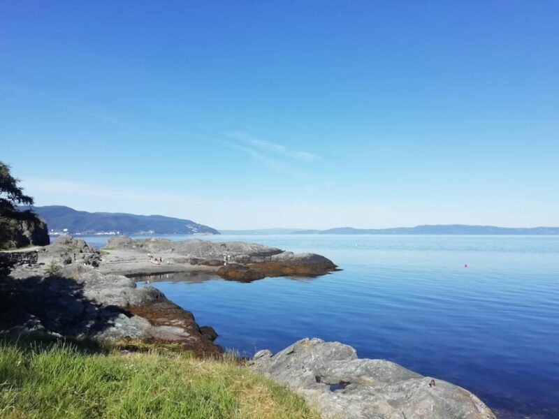 Discovery hike along the Trondheimsfjord - An Overview of the Experience