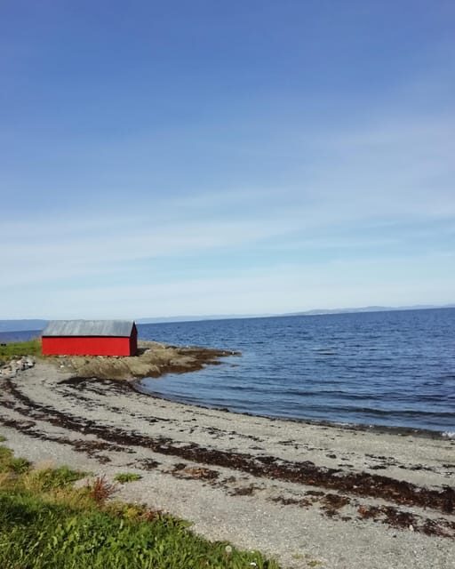 Discovery hike along the Trondheimsfjord - What to Expect at Each Stop