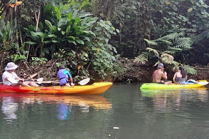 Discovery in Kayaking of the Faaroa River in Raiatea - Key Points