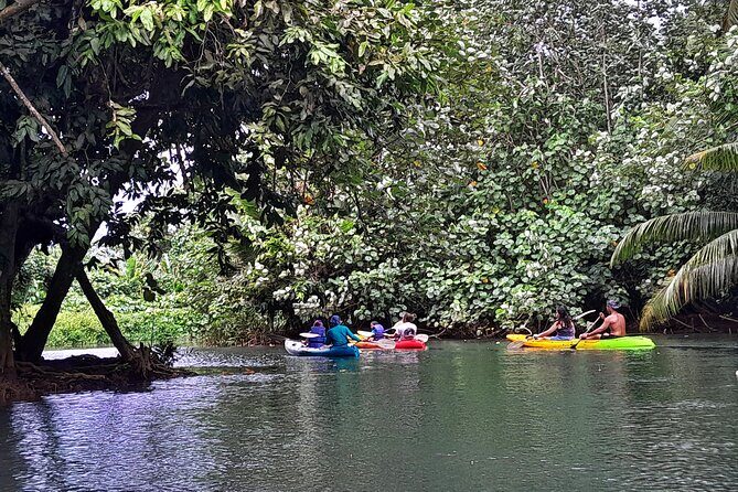 Discovery in Kayaking of the Faaroa River in Raiatea - What to Expect from the Faaroa River Kayaking Tour
