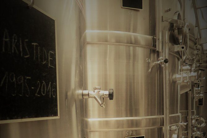 Discovery of a Champagne from Vintner, from the cellar to the tasting - Key Points