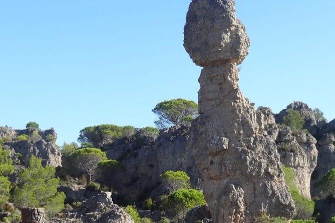 Discovery of the Grands Sites de l'Hérault from Montpellier - Transportation and Comfort