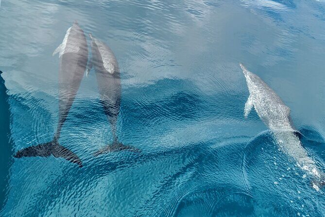 Discovery of the Tahiti Teahupo'o Jurassic Tour peninsula - Who Should Consider This Tour?