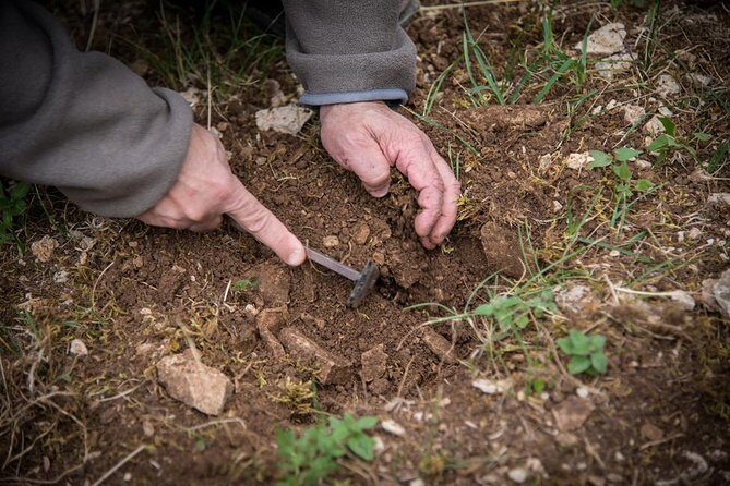 Discovery of the world of Truffles and tasting - Exploring Truffle Hunting in Beaune: An Authentic and Tasty Experience
