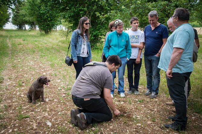 Discovery of the world of Truffles and tasting - Practical Details and Considerations
