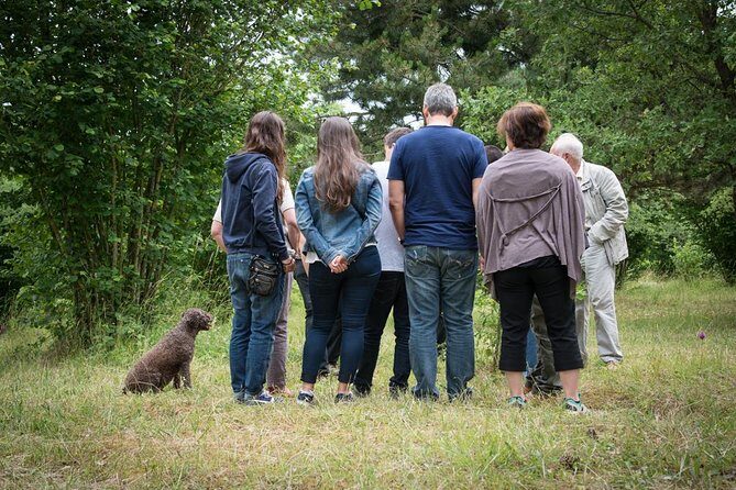 Discovery of the world of Truffles and tasting - Final Verdict