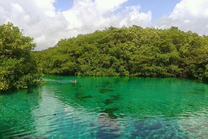 Discovery Scuba Diving - The Sum Up: Who Should Consider This Tour?