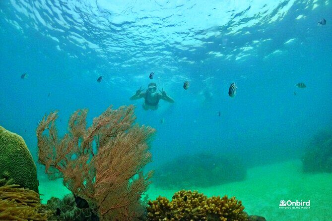 [DISCOVERY SNORKELING] 4 Islands-2 Reefs & BBQ [MAX 12 PAX] - Discover Phu Quoc’s Hidden Reefs and Islands
