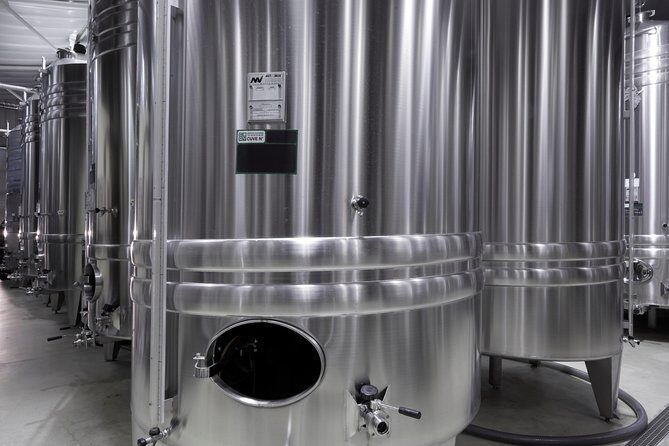 Discovery tour (2 tastings) - An In-Depth Look at the Champagne Charles Mignon Discovery Tour