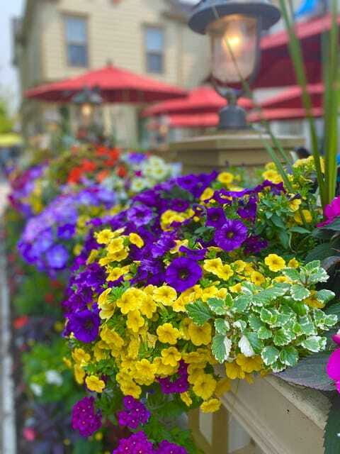 Discovery Tour: From Niagara Falls to Niagara-on-the-Lake - Practical Considerations