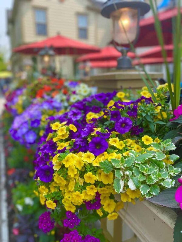 Discovery Tour: From Niagara Falls to Niagara-on-the-Lake - The Sum Up