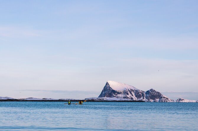 Discovery tour of the island of Senja and Kvaløya from Tromsø - In-Depth Look at the Tour Experience