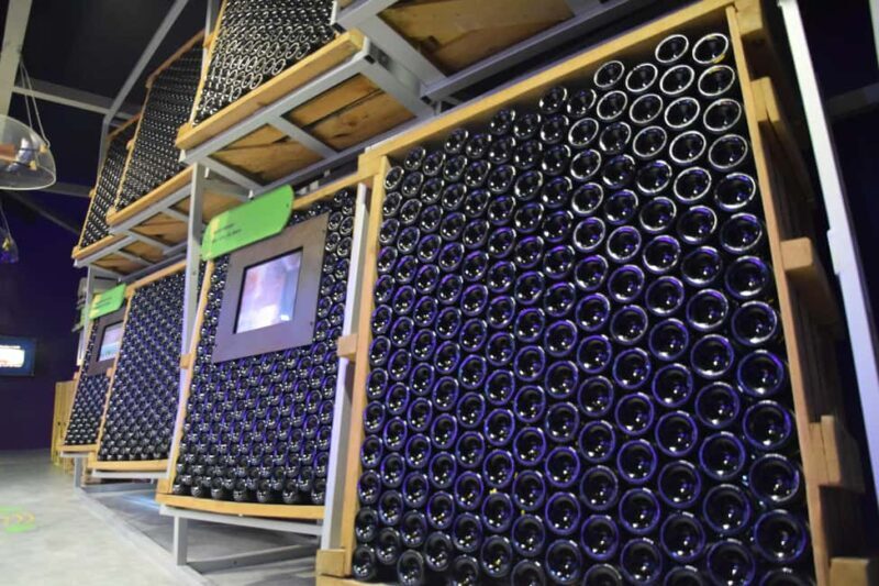 Discovery tour - Final Thoughts: Who Should Consider This Tour?