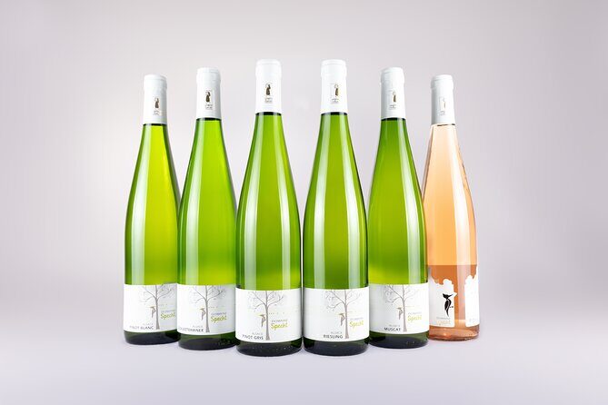 Discovery Vineyard - FAQ