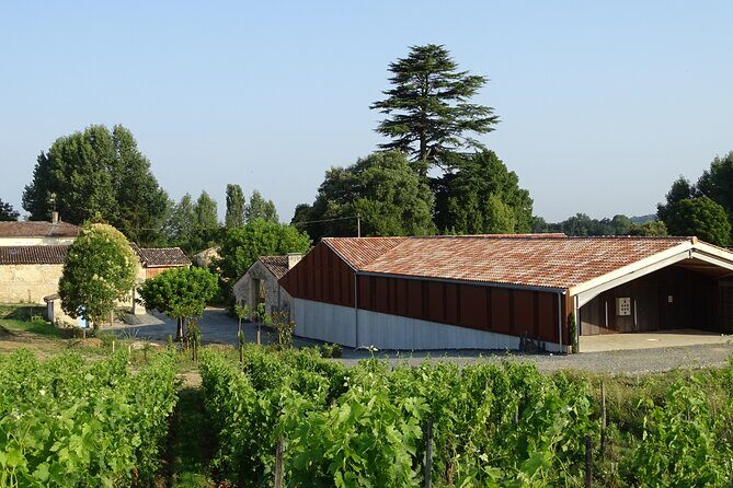 Discovery visit of Château Rol Valentin with tasting - Who Will Love This Tour?