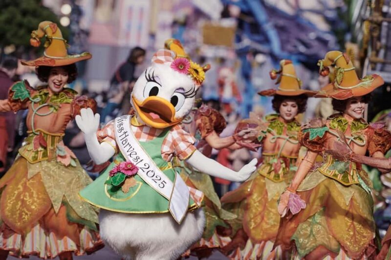 Disneyland® Paris Tickets and Shuttle Transport - Key Points