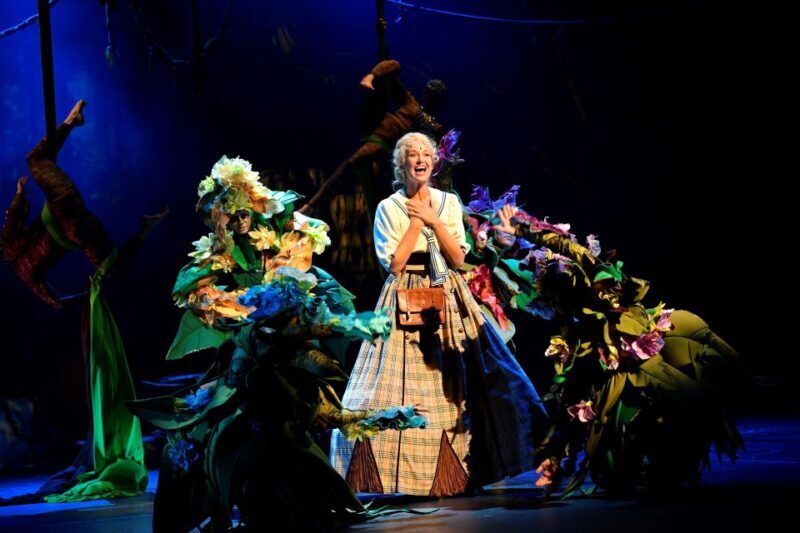 Disney's Tarzan Musical - Key Points