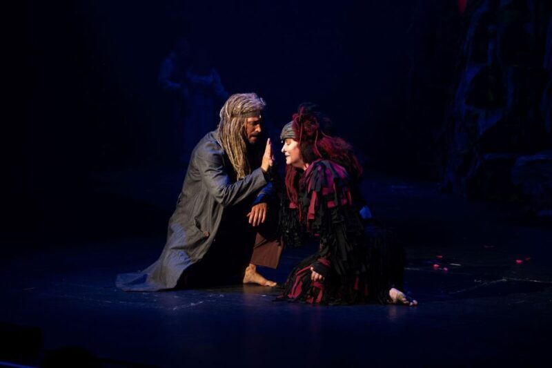 Disney's Tarzan Musical - The Sum Up