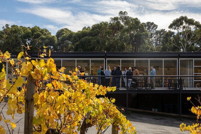 Distinguished Collection Tasting with Platter - Transportation, Group Size, and Practicalities