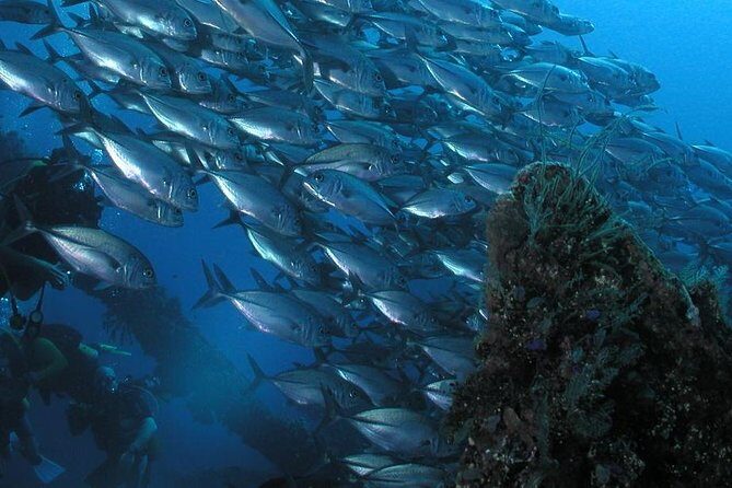 Dive at Tulamben Bali USS Liberty Ship Wreck - Key Points