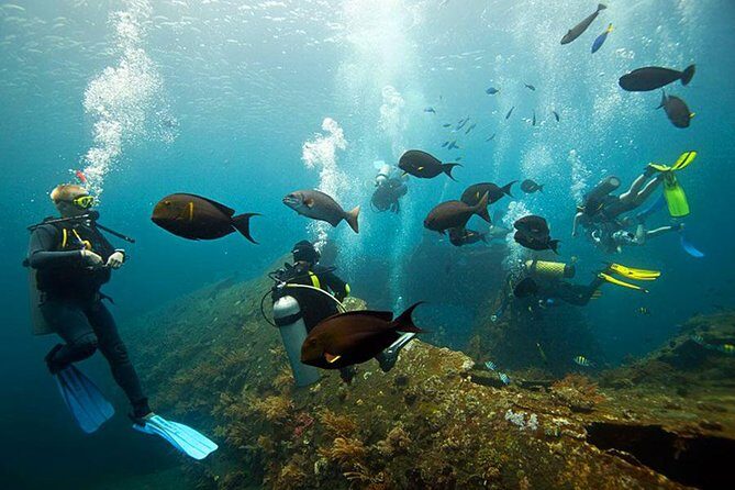 Dive at Tulamben Bali USS Liberty Ship Wreck - What Sets This Tour Apart
