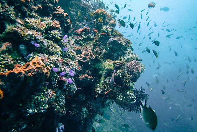 Dive at Tulamben Bali USS Liberty Ship Wreck - Practical Tips for the Trip