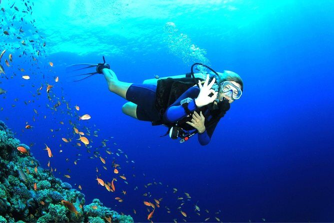 Dive at Tulamben Bali USS Liberty Ship Wreck - Final Thoughts