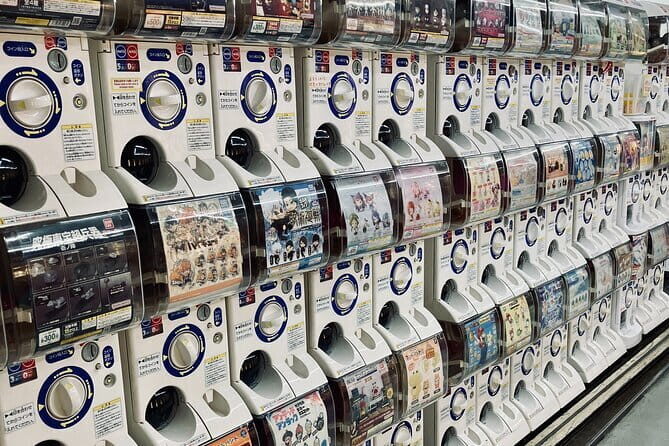 Dive Deep into Anime & Manga Culture & Karaoke in Nakano - The Sum Up