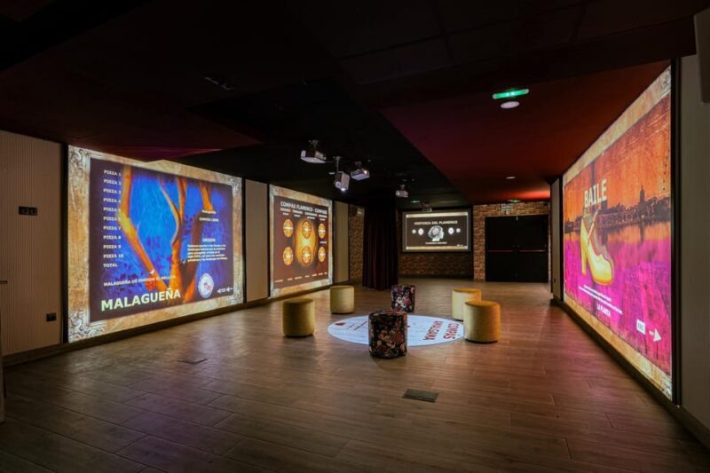 Dive In and Discover: Flamenco in an Interactive Journey - Who Should Consider This Tour?