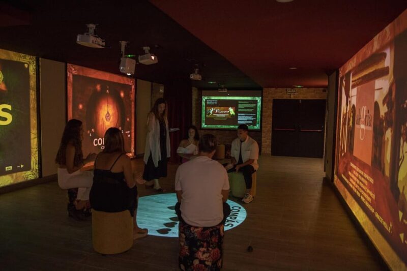 Dive In and Discover: Flamenco in an Interactive Journey - FAQ