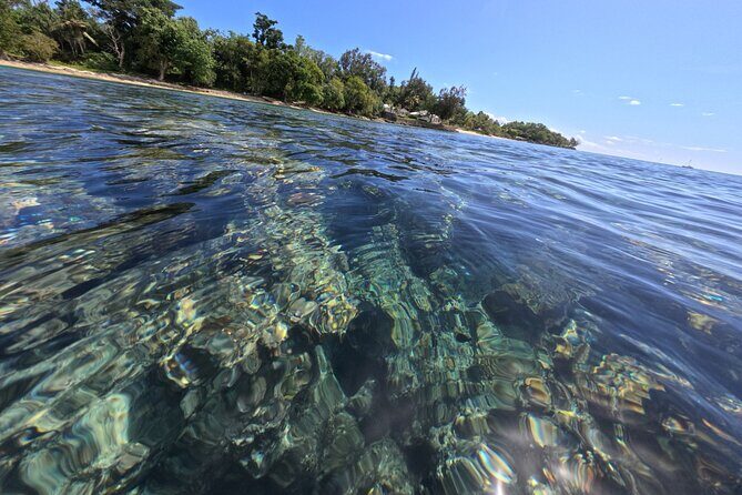 Dive Into Paradise: Snorkel Adventure at Paradise Cove - An Authentic Vanuatu Snorkeling Experience