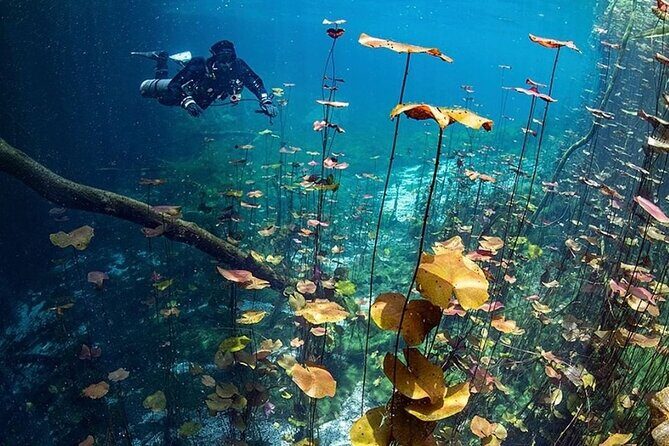 Dive into Tulum: Tour 3 Cenotes, from Riviera Maya - FAQ