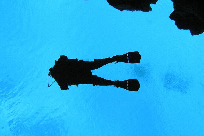 Dive the Divide: Silfra Fissure Scuba Tour | Meet at Thingvellir - An In-Depth Look at the Silfra Fissure Tour