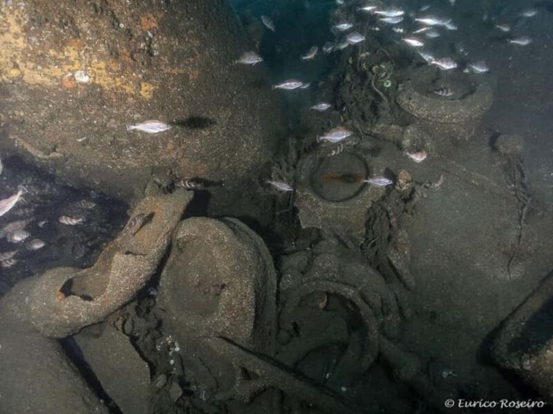 Dive the U-boat 1277 - the Most Iconic Dive in Portugal - Key Points