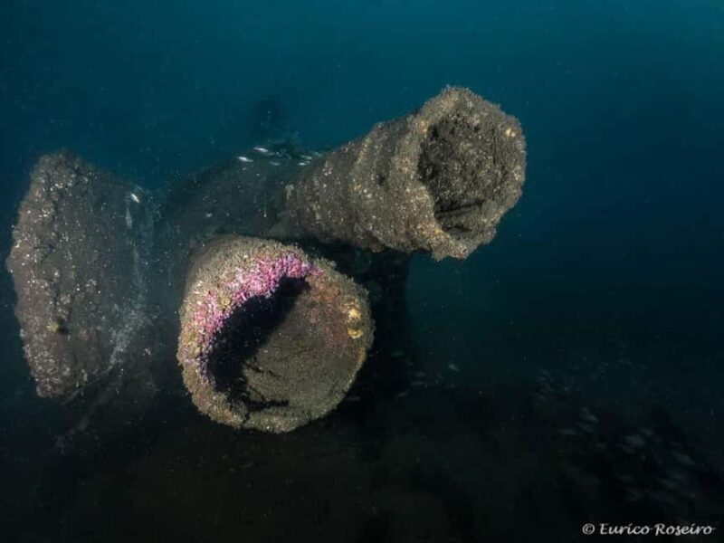 Dive the U-boat 1277 - the Most Iconic Dive in Portugal - A Deep Dive into the Experience
