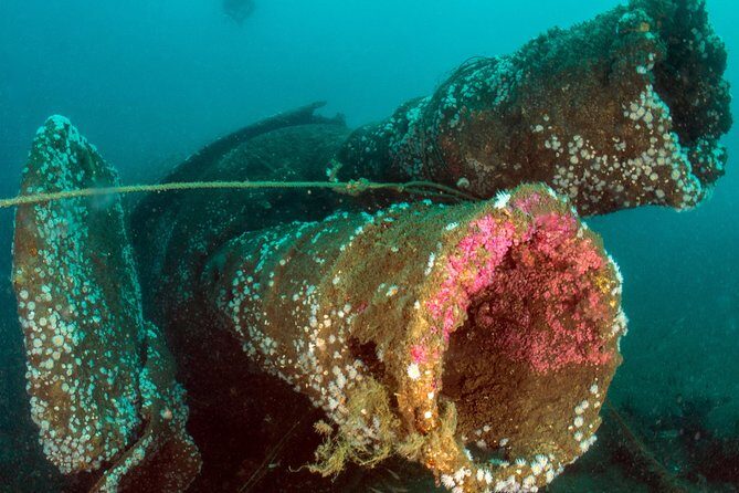 Dive the U-boat 1277, the most iconic dive in Portugal? - FAQ