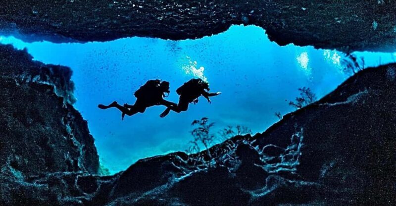 DiveSnap Underwater Sports Thrills:Lantern Point & P31 Wreck - A Closer Look at the Experience