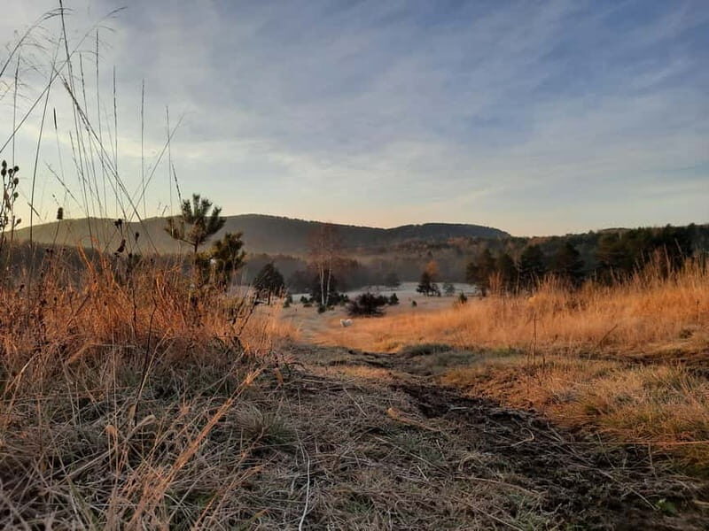 Divibare: Follow the Sun Hiking Tour - Authentic Insights from Past Participants