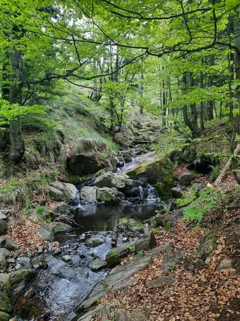 Divibare: Follow the Sun Hiking Tour - The Sum Up