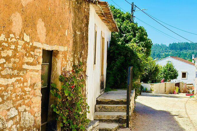 Divine Journey : Fatima Full Day Private Tour - The Experience in Detail