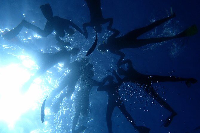 Diving Adventures - Boat and Shore Diving - Real Experiences from Previous Participants