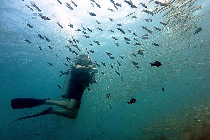 Diving at Koh Chang, daytrip with 2 dives - Exploring Koh Chang’s Underwater World: A Detailed Review of the 2-Dive Day Trip