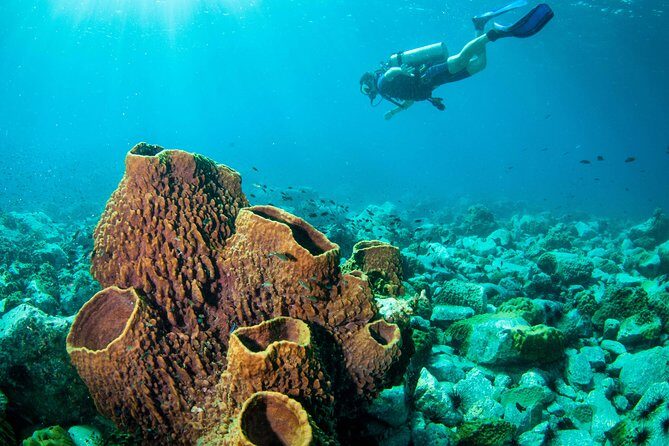 Diving at Koh Chang, daytrip with 2 dives - Key Points