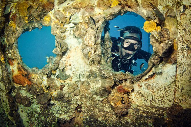 Diving at Koh Chang, daytrip with 2 dives - Authentic Insights from Reviewers