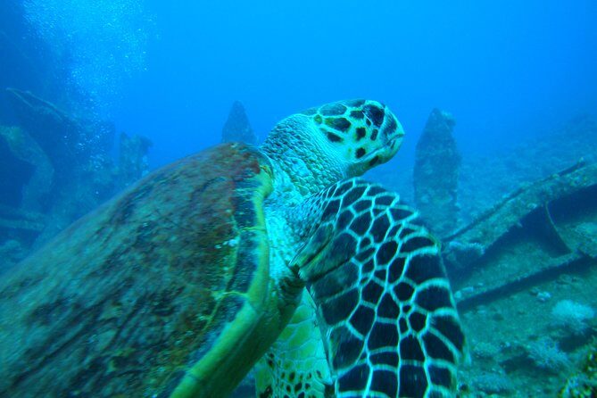 Diving Baptism - Who Should Consider This Experience?