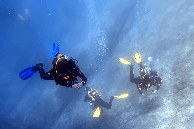 Diving baptism in the Marine Reserve of Cabo Tiñoso - Practical Details and Tips