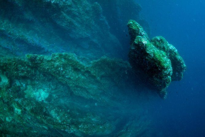 Diving day tour with 2 dives - Final Thoughts