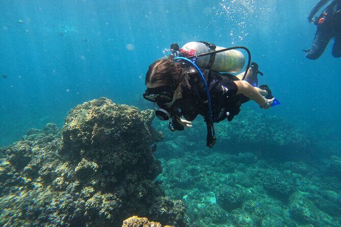 Diving exploration for beginners in Los Arcos de Mismaloya - Introduction