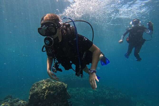 Diving exploration for beginners in Los Arcos de Mismaloya - Diving Exploration for Beginners in Los Arcos de Mismaloya